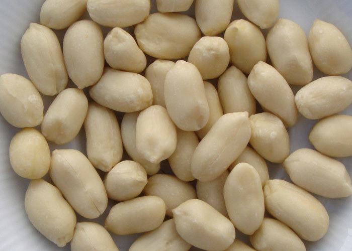 Dried Peanuts - Bold Kernel 35/40 | Broken 5%, Moisture 8%, Common Cultivation, 9 Months Shelf Life