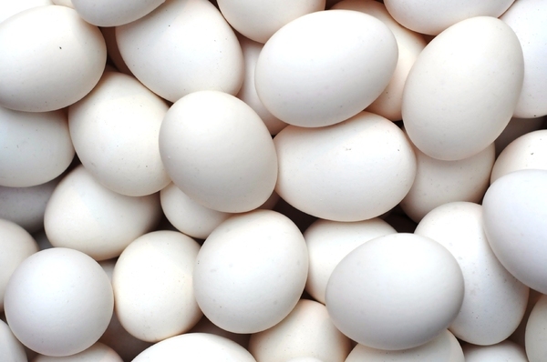 White Poultry Eggs