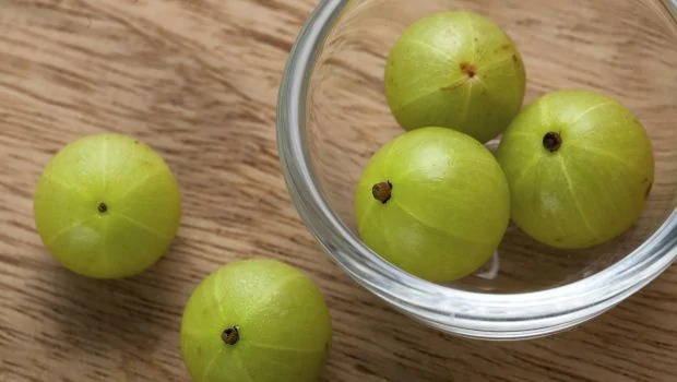Amla Extract - Grade: Food Grade