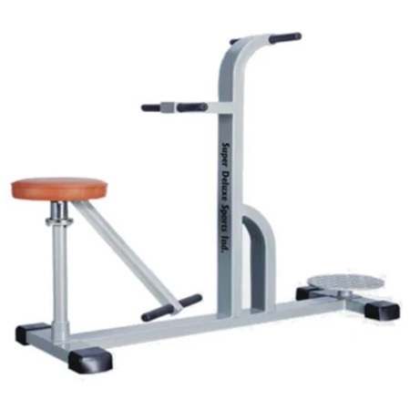 Gym Double Twister Machine