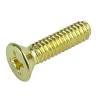 Brass pan philip screw