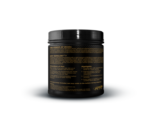 Bcaa Blueberry Flavor Protein Powder