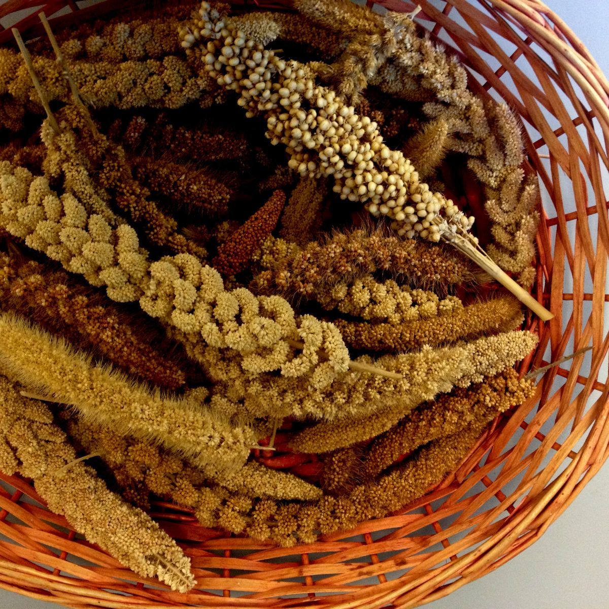 Grains & Cereal