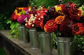 Cut Flowers