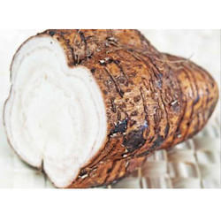 विदारिक और पुएरारिया ट्यूबरोसा