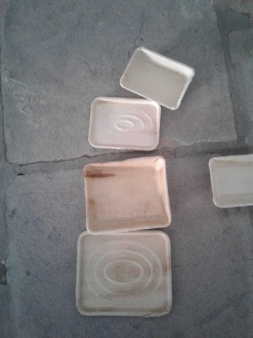Natural Biodegradable Areca Leaf Plates