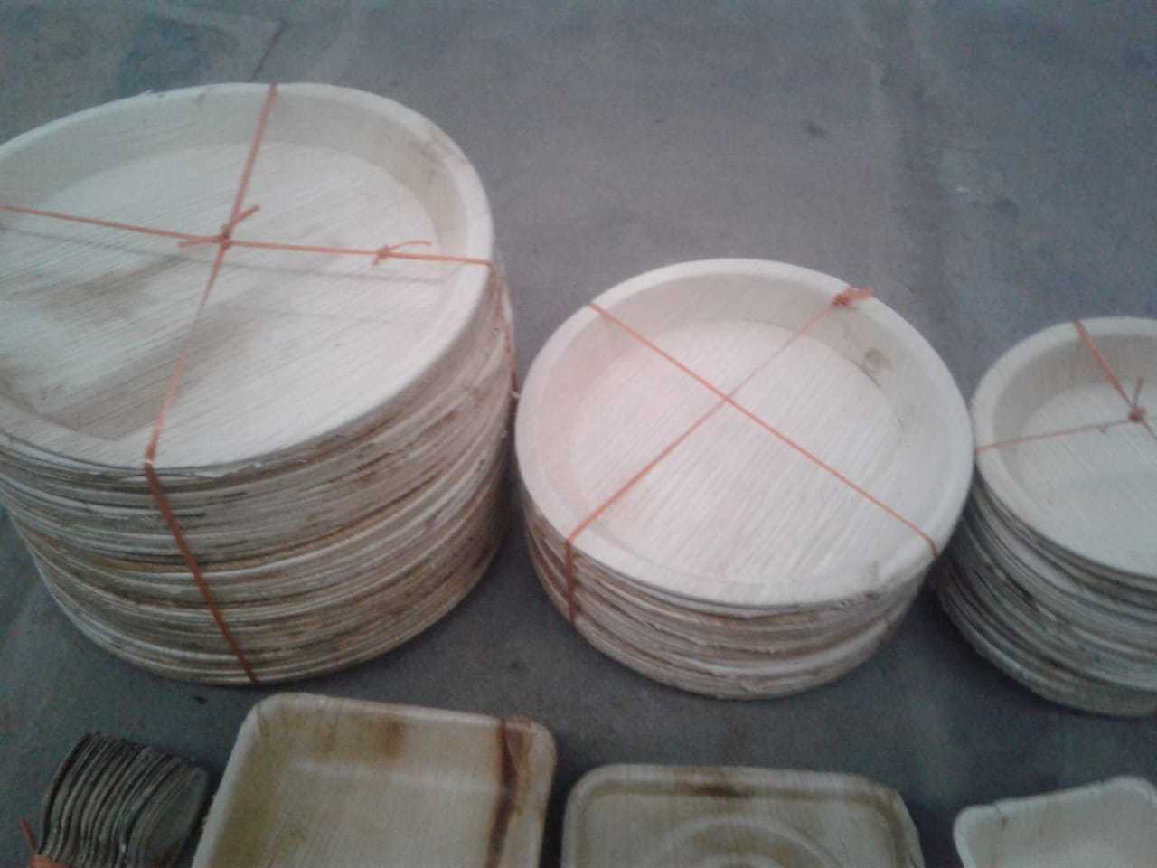 Natural Biodegradable Areca Leaf Plates