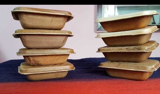 Natural Biodegradable Areca Leaf Plates