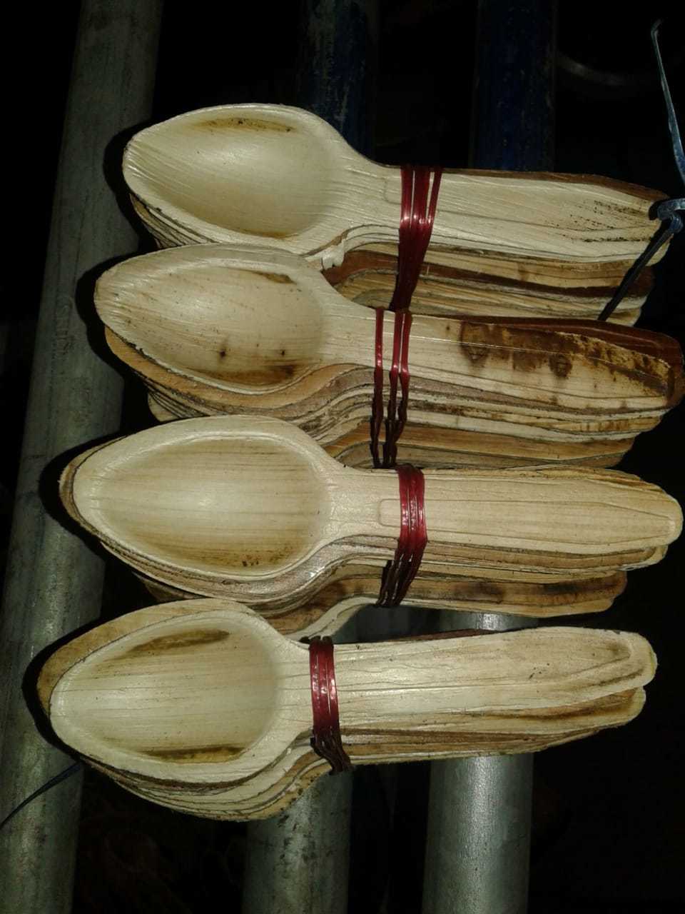 Natural Biodegradable Areca Leaf Plates