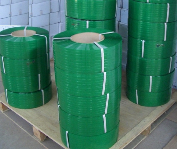 Pet Strap Roll