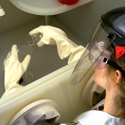 Drybox Hypalon Glove Gender: Male