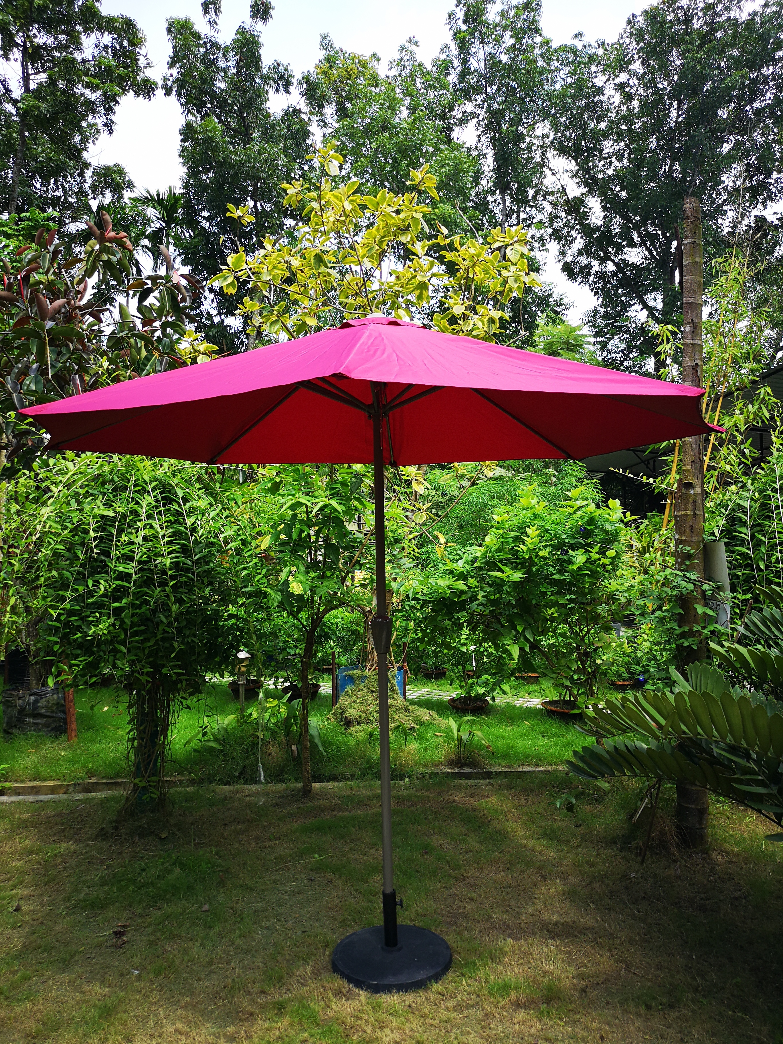Pink Garden Umbrella