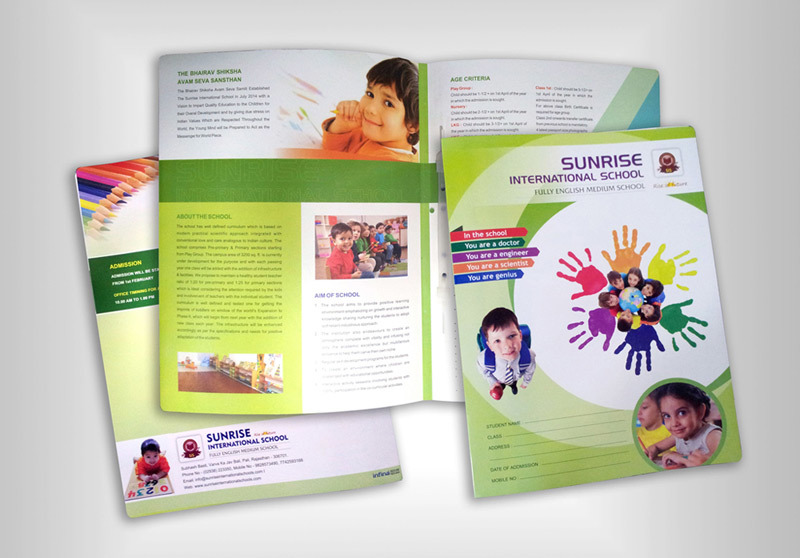 Files - Polypropylene / Pvc, A4 / Legal Size, Opaque | Non Tearable, Rigid Structure, Multiple Extrusion Process, Ideal For Official Use