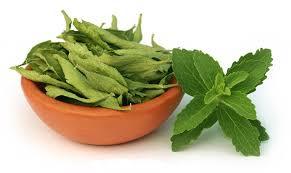 Stevia Plants Usage: Medicinal Uses