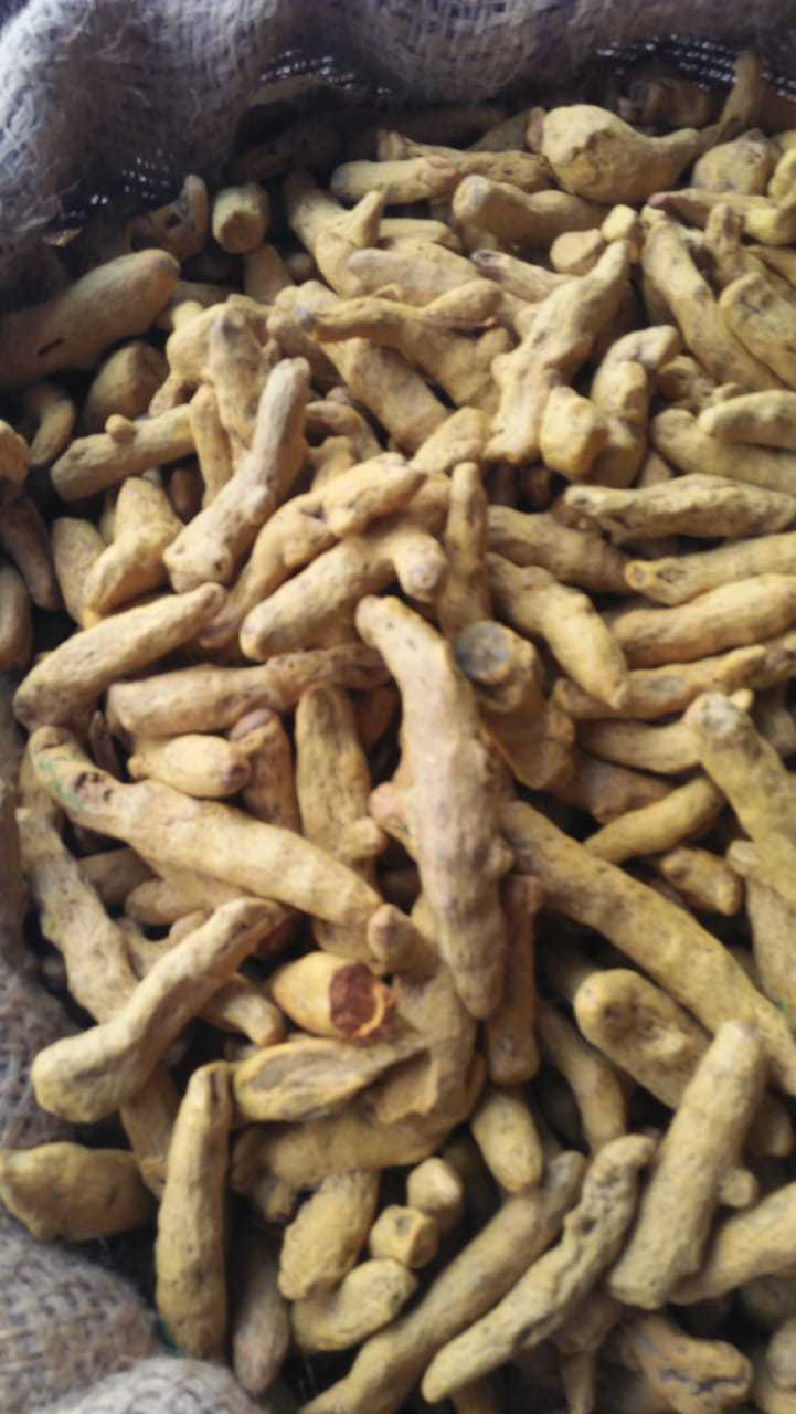 Double Polished Turmeric Finger - Raw, Yellow Powder | Enhances Flavor, Rich In Antioxidants, No Artificial Flavors, Slightly Warm & Spicy