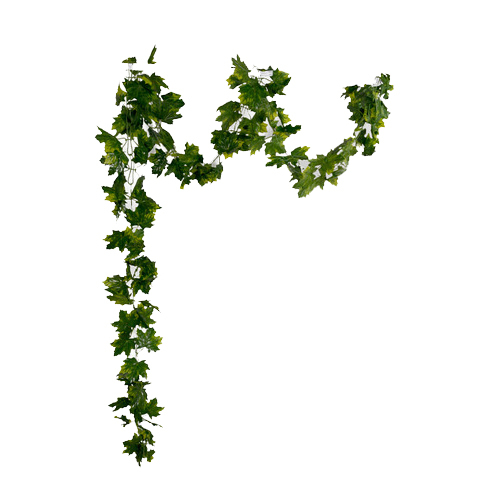 Artificial Green Creeper