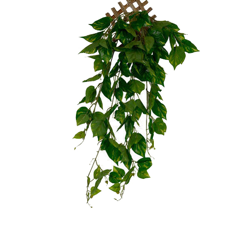 आर्टिफिशियल मनी प्लांट क्रीपर्स