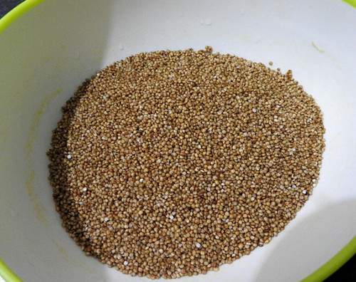 Kodo Millet