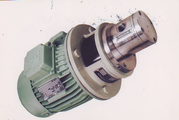 Rotary Gear Pump