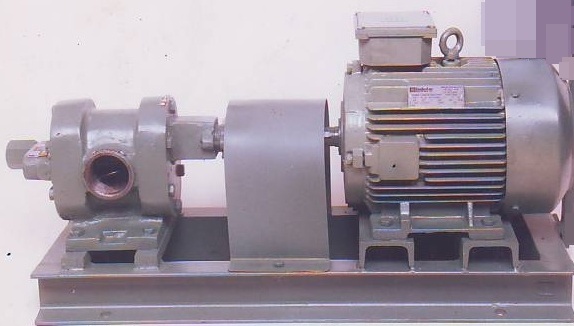 Rotary Gear Pump