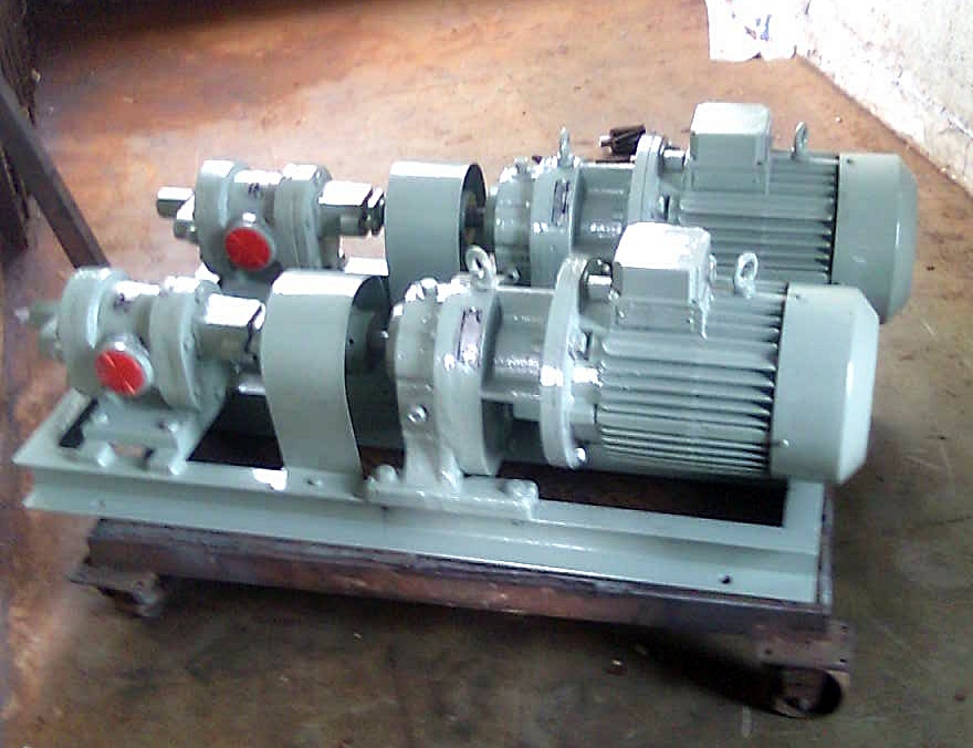Rotary Gear Pump