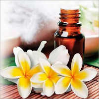 चंपाका लाल निरपेक्ष तेल