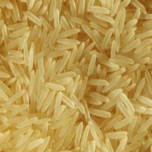 गोल्डन बासमती चावल
