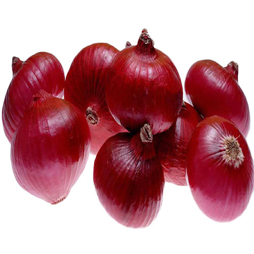 Fresh Red Onion Moisture (%): 20%