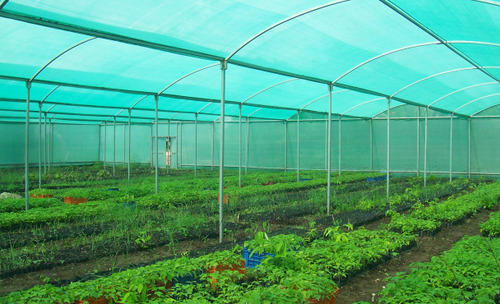 Green Shade Net