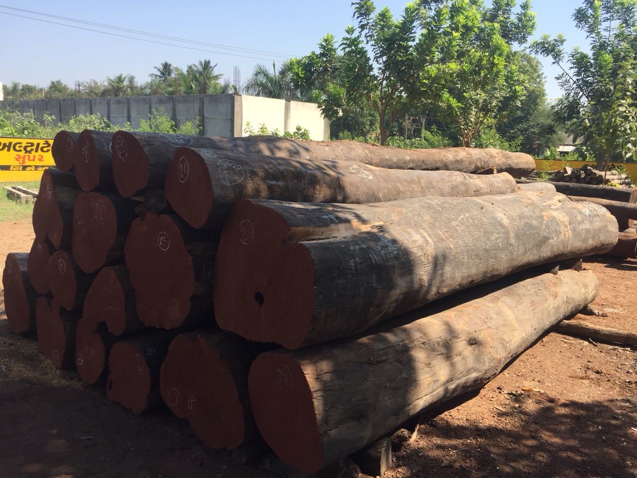 Hed Round Log - Grade A1 | Premium Quality Natural Timber Logs For Versatile Applications