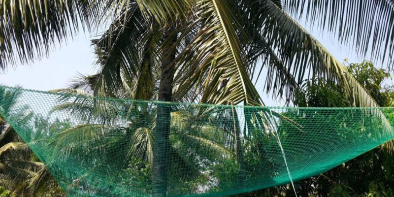 Coconut Safety Net - Fabric Mesh, Square Holes Of 30 Mm Size | Premium Fall Protection For Vehicles And People