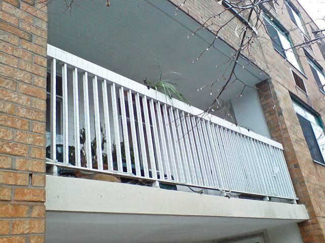 Bird Netting For Building