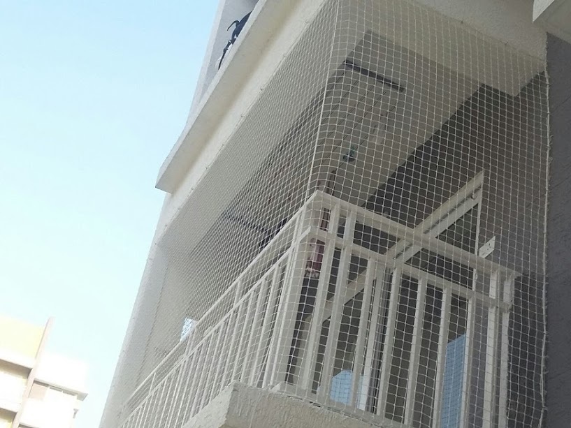 Bird Net Service