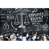 रोजगार और श्रम कानून वकील