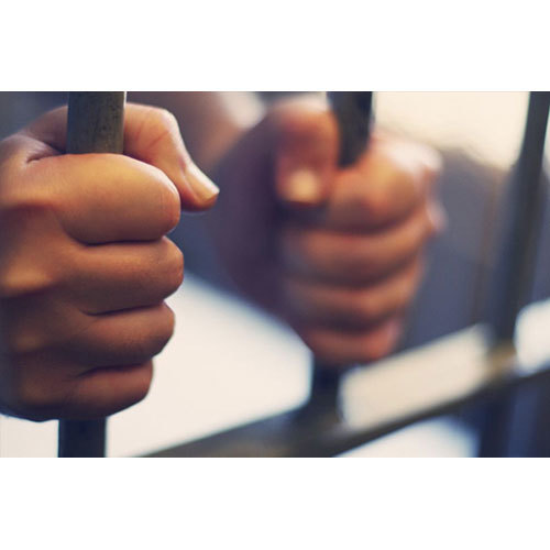 Criminal Defense Lawyer