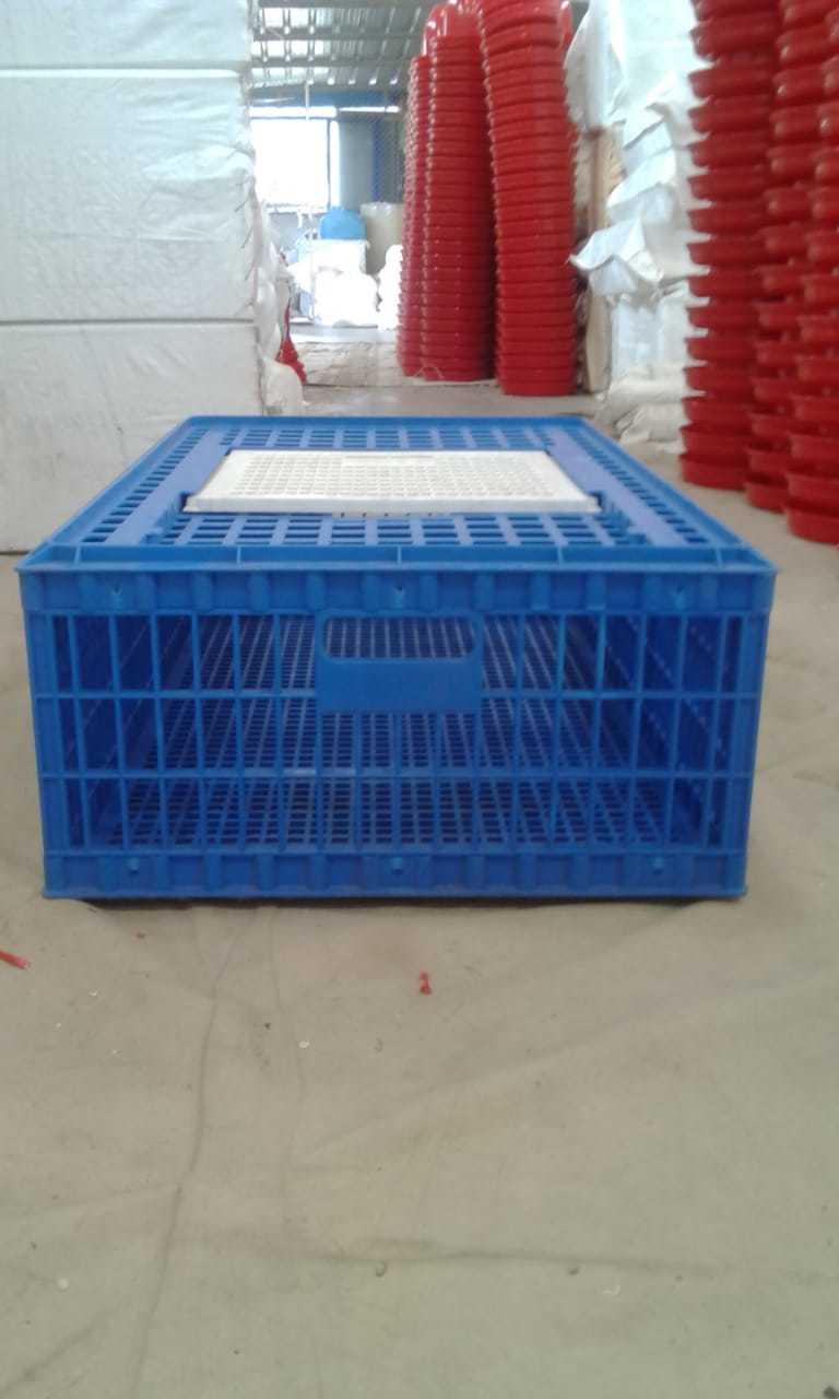 Plastic Bird Transportation Cage
