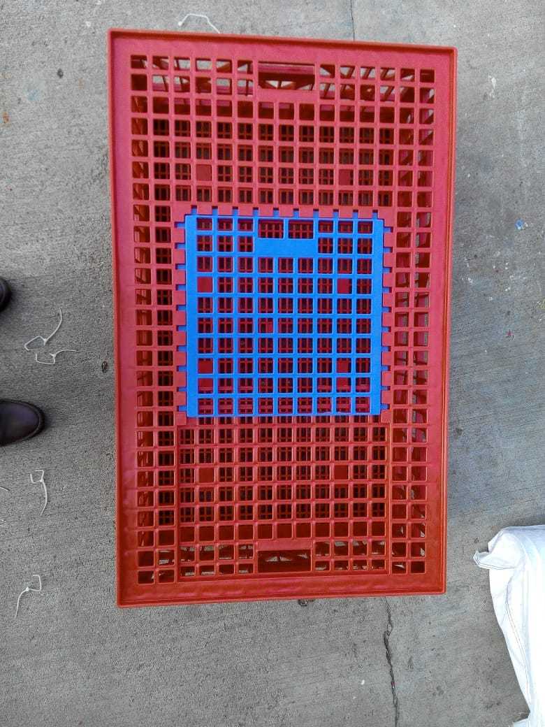 Plastic Bird Transportation Cage