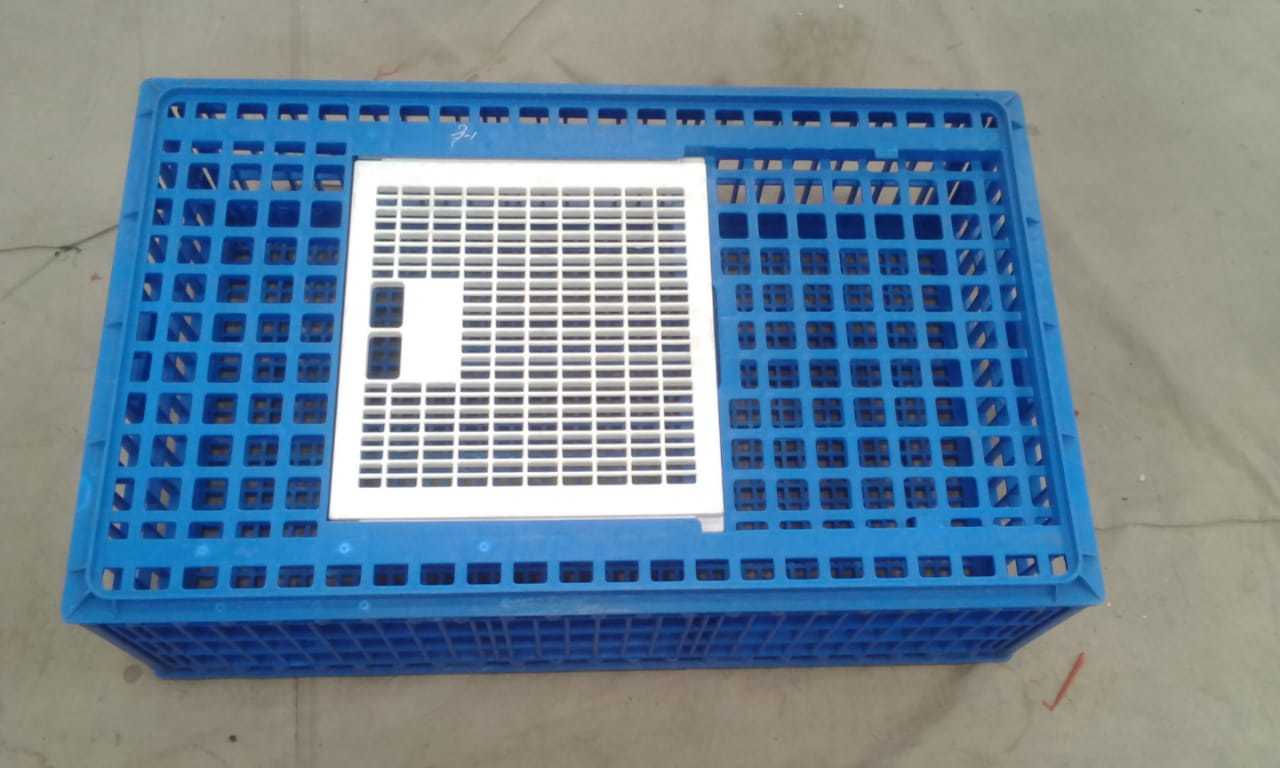 Plastic Bird Transportation Cage