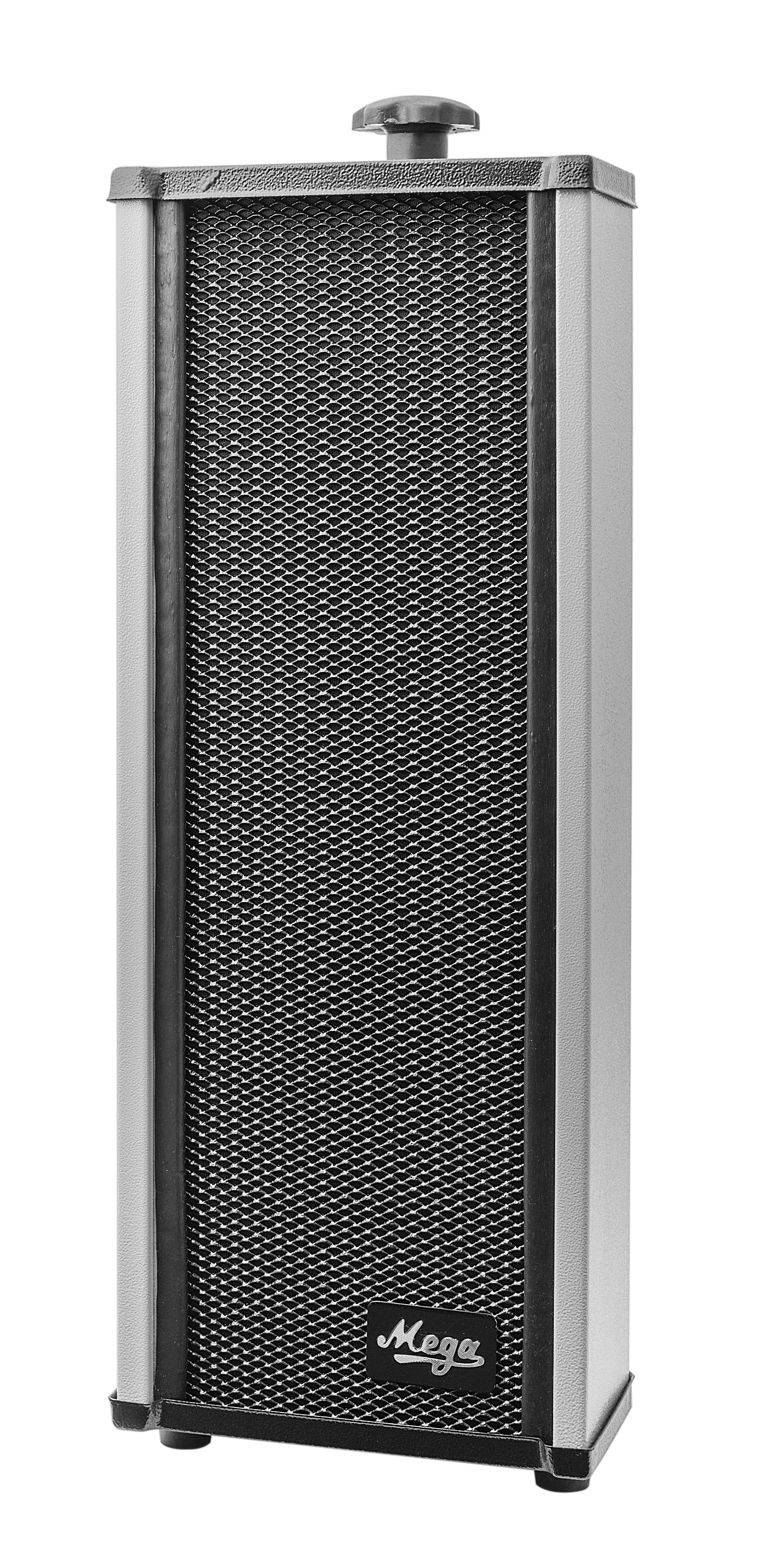 Metal 80 Watts Portable System With 2 External Speaker