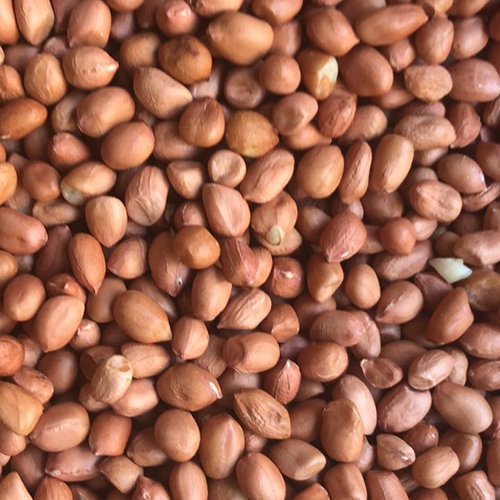 मूंगफली के बीज