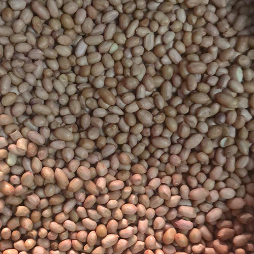 सूखे मूँगफली के बीज