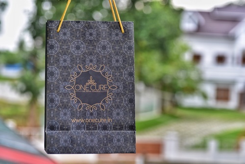 प्रिंटेड पेपर कैरी बैग्स