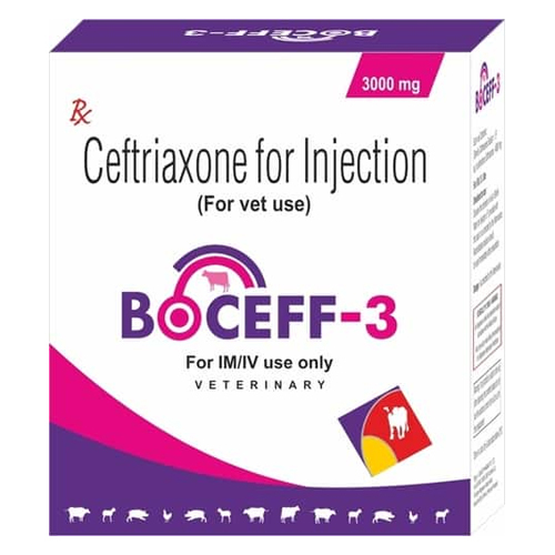 Ceftriaxone Injection - 3.0 Geq. To 3000 Mg | Antibiotic Powder For Cattle, Dogs, Goats, Poultry