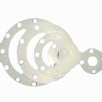 PTFE गैसकेट्स