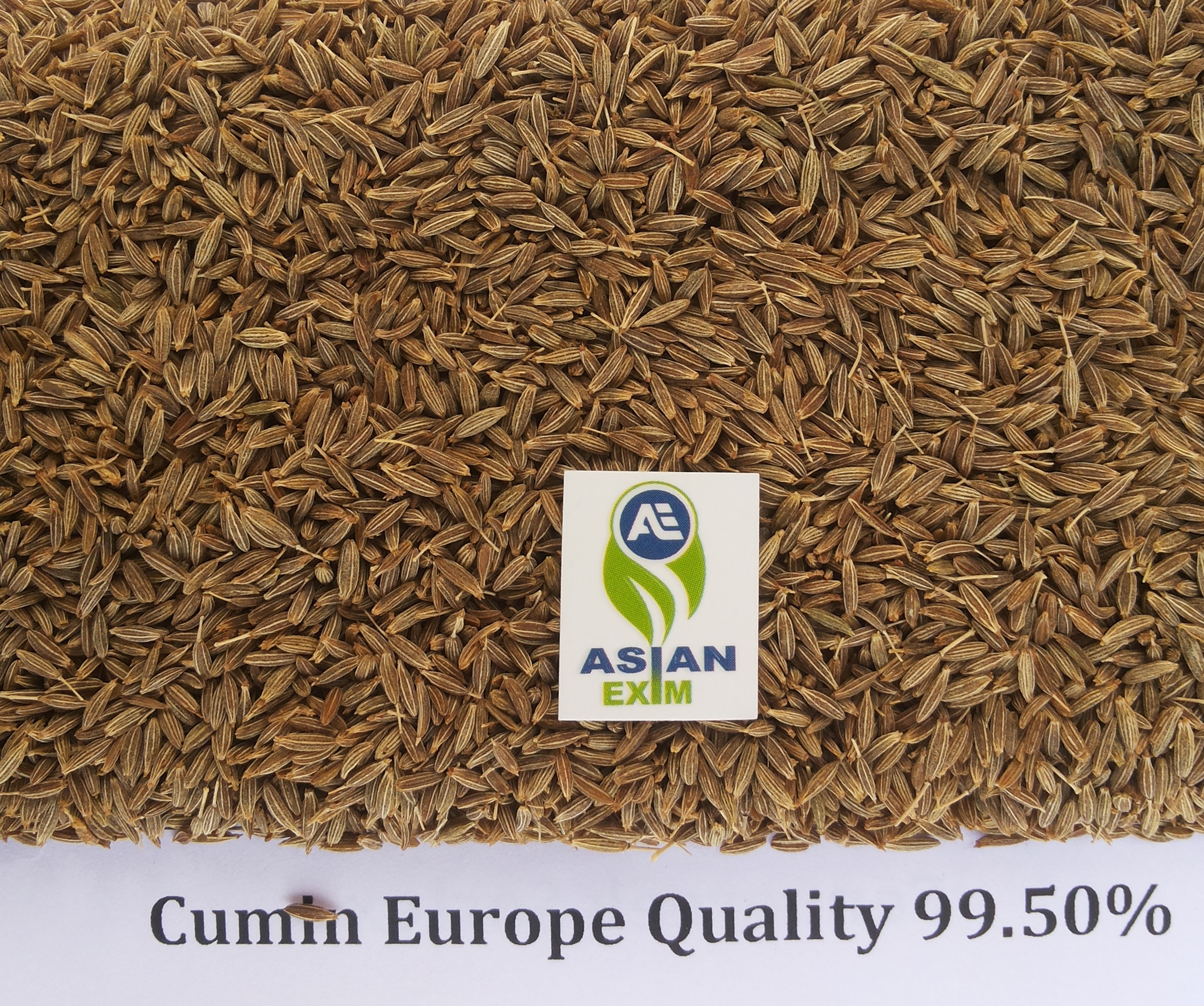 Whole Cumin Seeds - A Grade, Natural Color, 95-99.50% Purity | Organic, Preservative-free, High Medicinal Value, Aromatic Flavor Enhancer