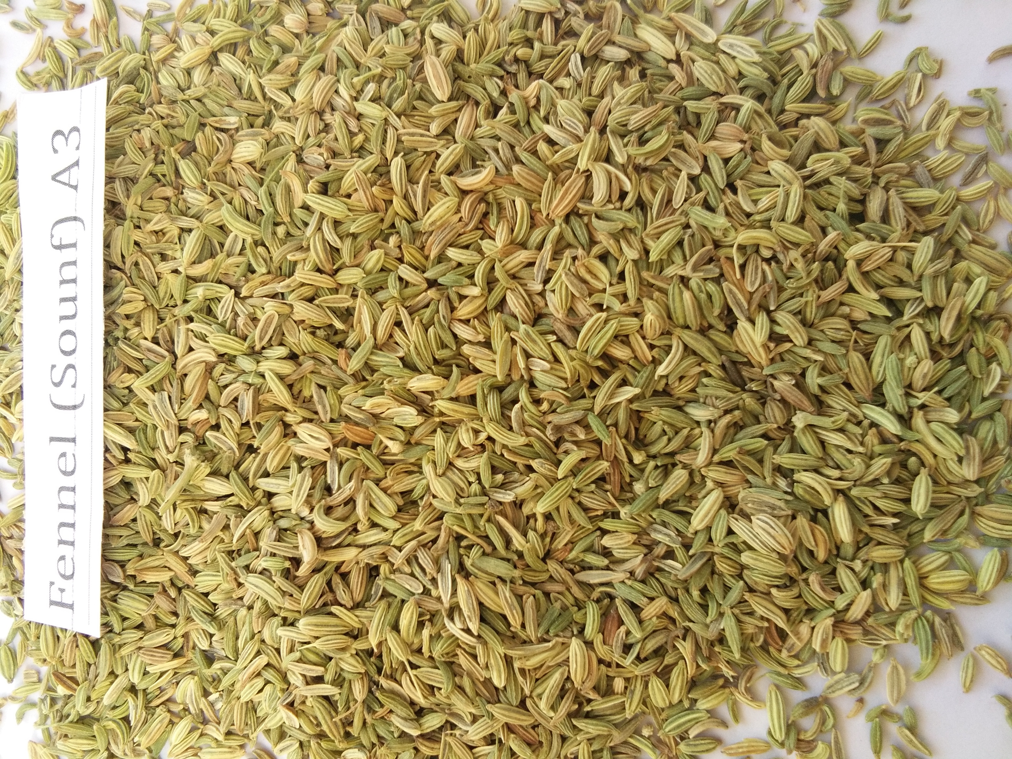 100% Natural Green Saunf Seeds