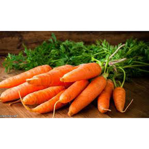 Fresh Carrot - Common Cultivation, Dried Vegetables | Beta-Carotene, Fiber, Potassium, Antioxidants, Vitamins C & K