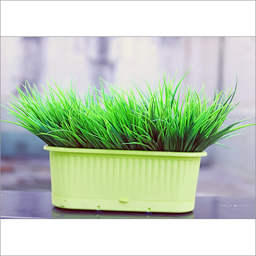 Artificial Green Bushes