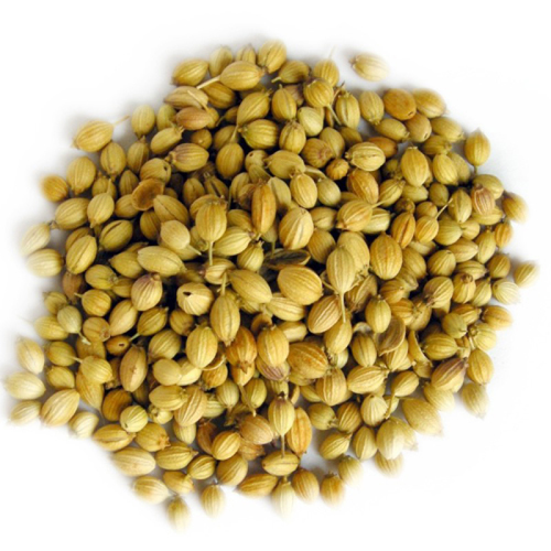 Coriander Seed
