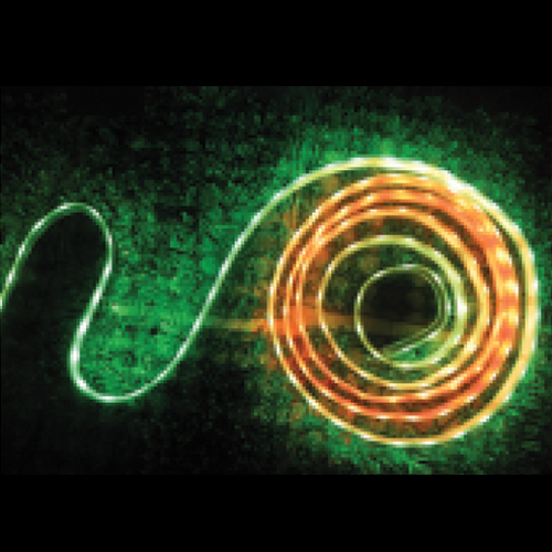 Flexible LED Strip - PVC Material, 5 Meters Length, White Color | SMD 5050, 12V DC, Waterproof IP65, 14.4W Power Consumption
